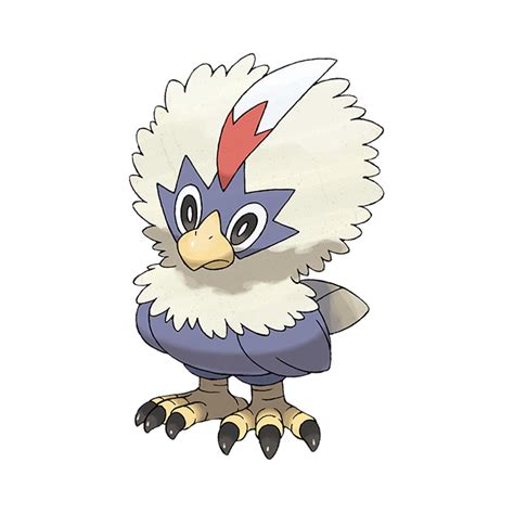 braviary pre evolution|Braviary .